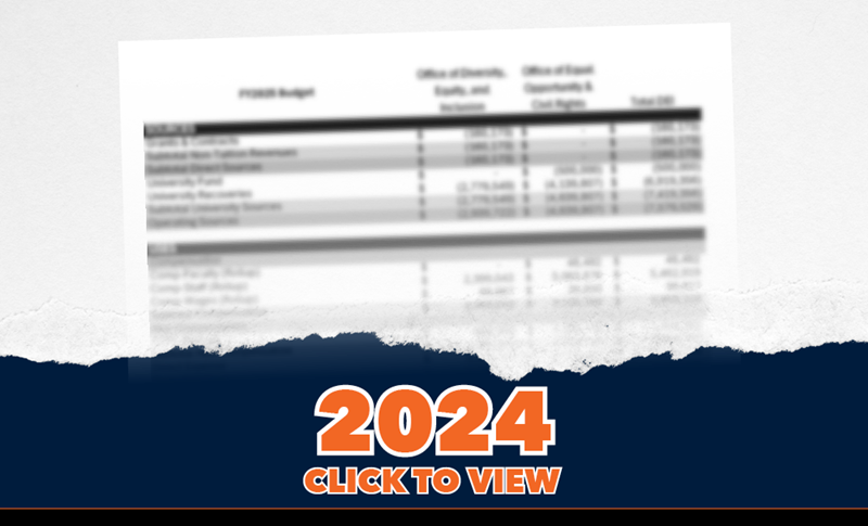 30_DEI_budget_uva_2024
